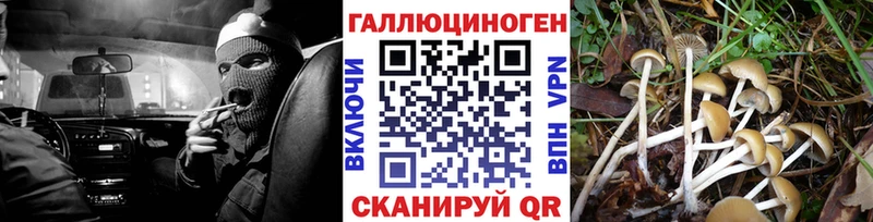 Псилоцибиновые грибы ЛСД  Дивногорск 
